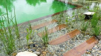 Ekologisk baddamm, biologisk pool eller pooldamm för trädgårdsmänniskan