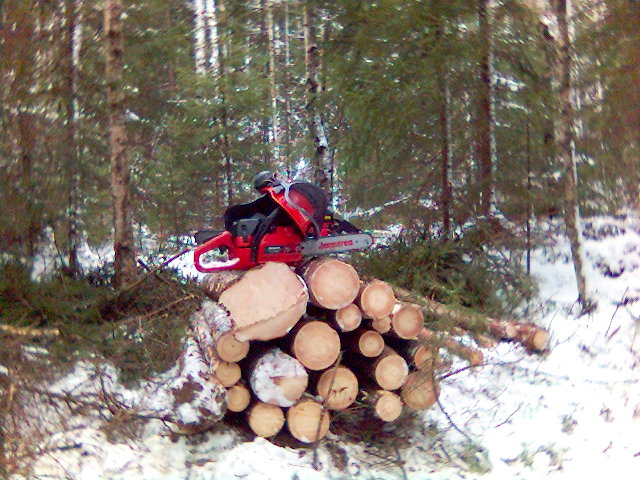 skogen.jpg skogen.jpg
