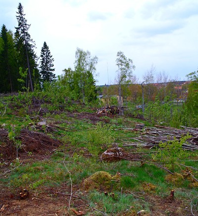 tomten_146864933.jpg