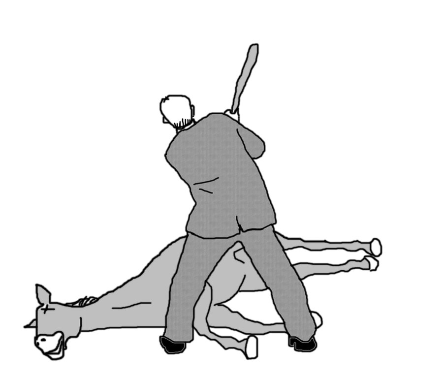 dead-horse.jpg dead-horse.jpg