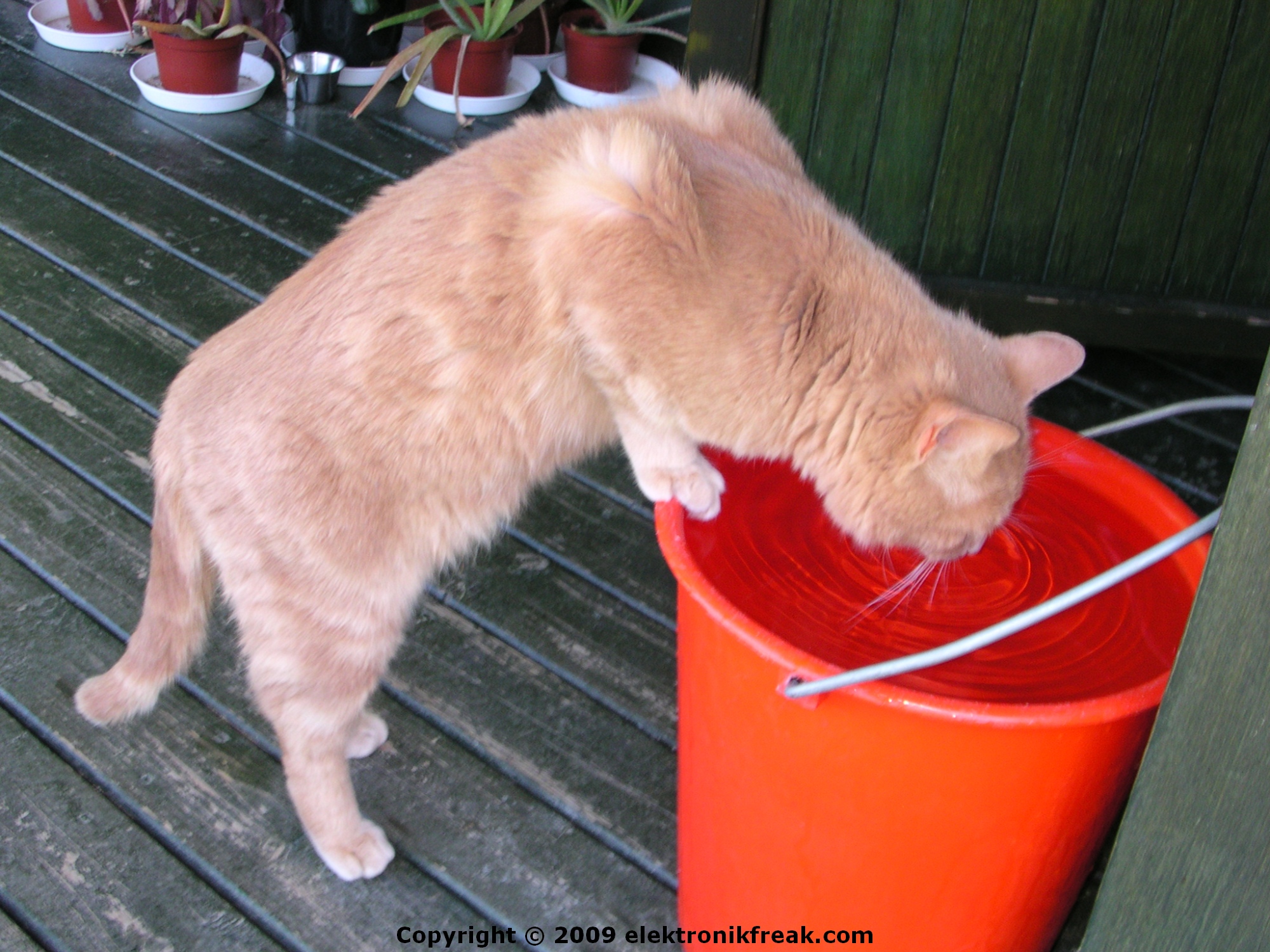 untitled_by_elektronikfreak-d6voy1n.jpg untitled_by_elektronikfreak-d6voy1n.jpg