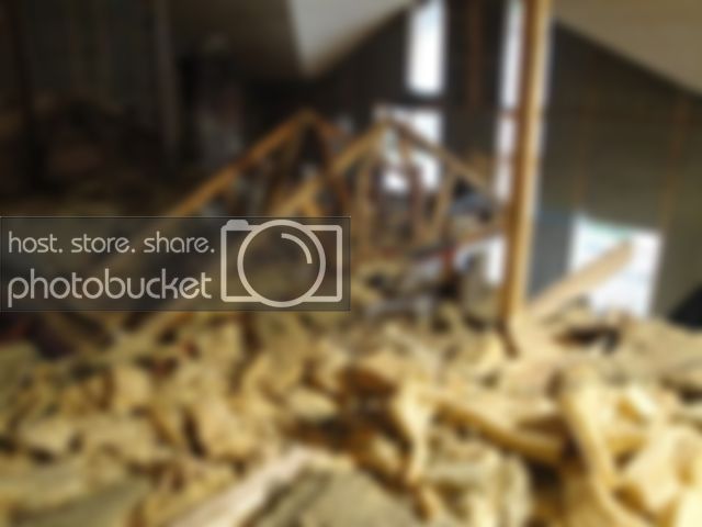 DSC00259.jpg DSC00259.jpg