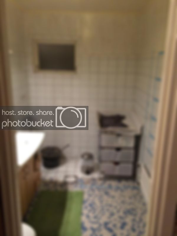 IMG_0527.jpg IMG_0527.jpg