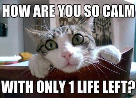 aBdRnyx_460s.jpg aBdRnyx_460s.jpg