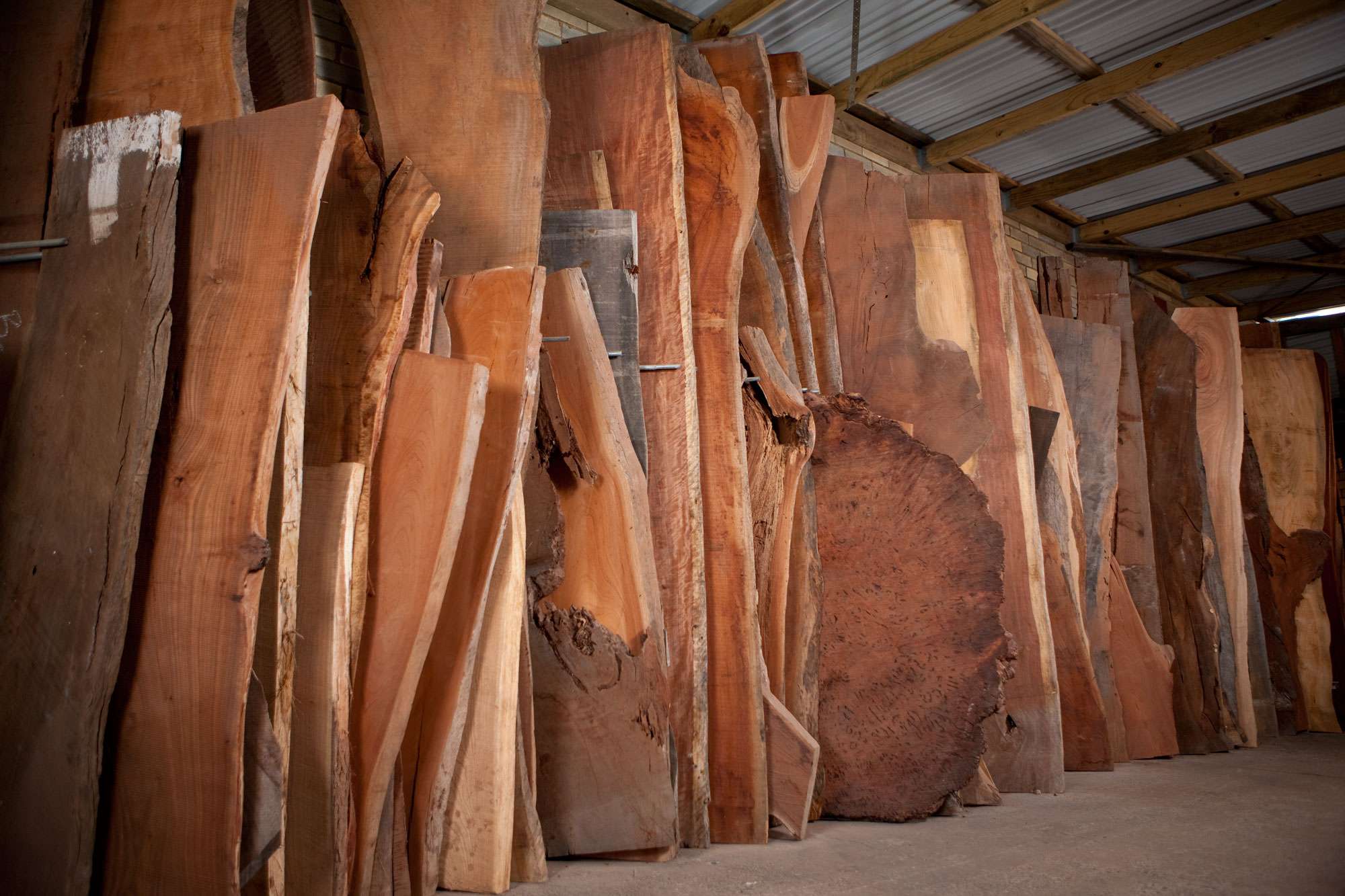 Time-for-Timber-014.jpg Time-for-Timber-014.jpg