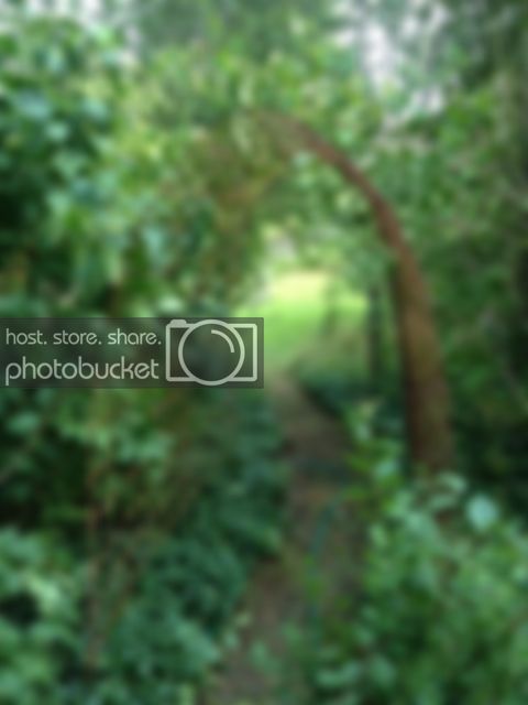 bild_zps71fd7a82.jpg bild_zps71fd7a82.jpg