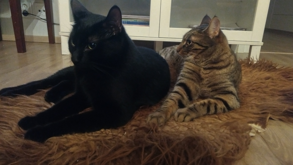 07IcBwt.jpg 07IcBwt.jpg