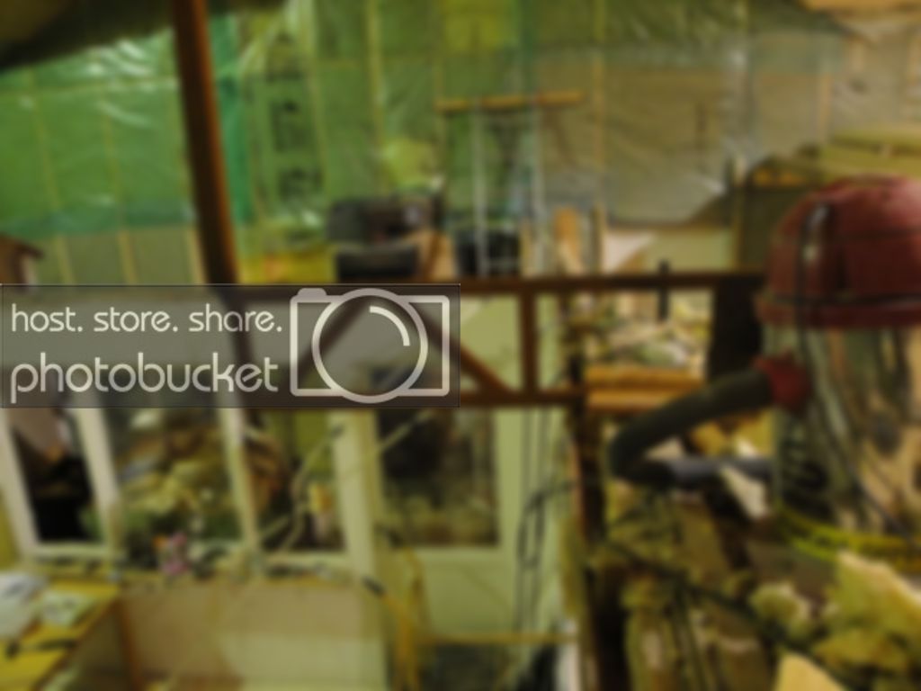 DSC00311.jpg DSC00311.jpg