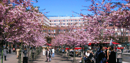 kungsan_korsbar_440.gif