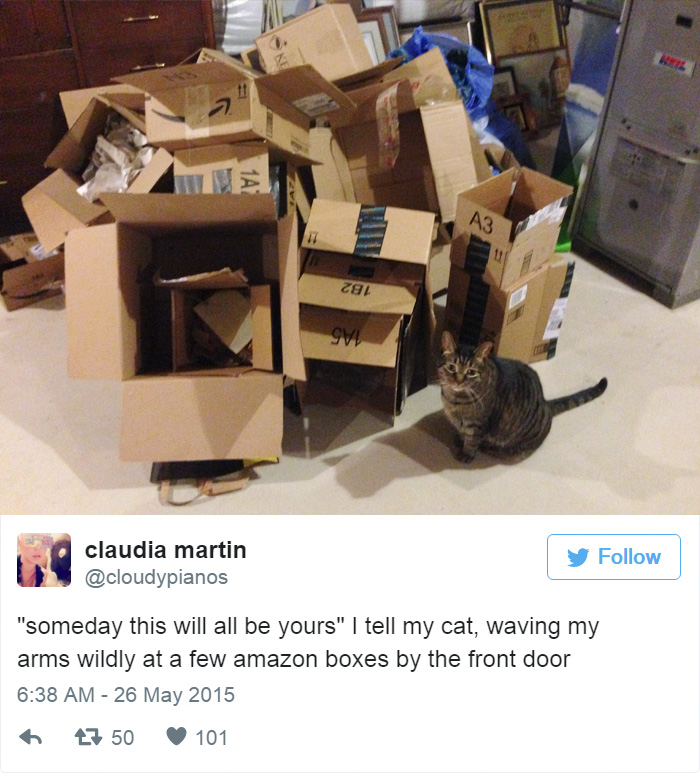 3c51funny-cat-tweets-214__700.jpg 3c51funny-cat-tweets-214__700.jpg