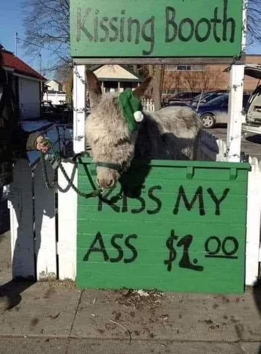 vkmdn1ckdhja1.jpg