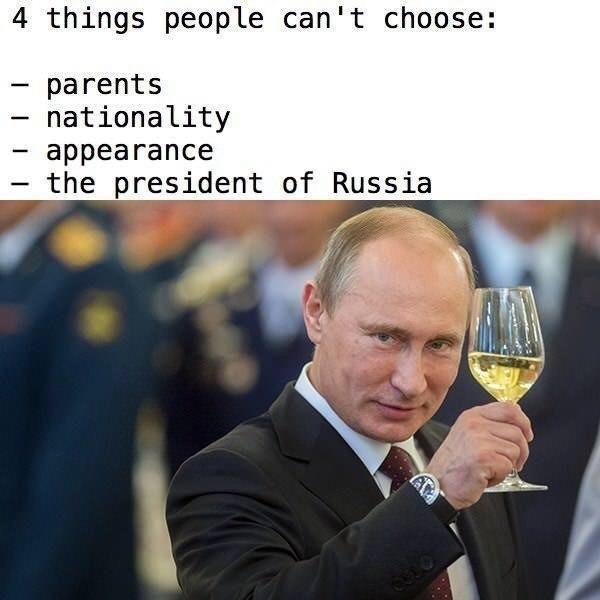 31b.jpg