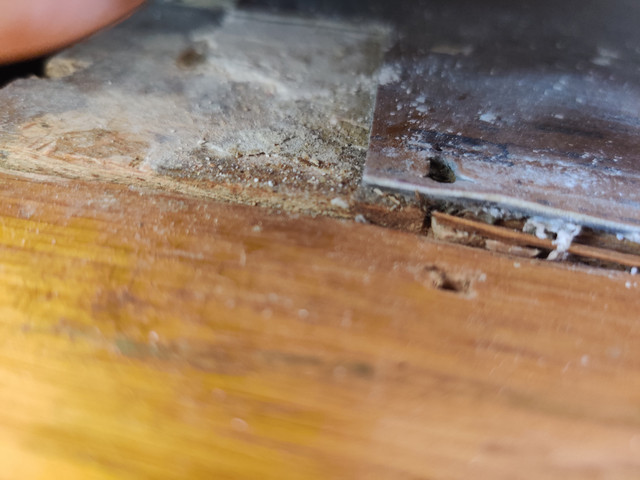 IMG-20210824-145648.jpg IMG-20210824-145648.jpg