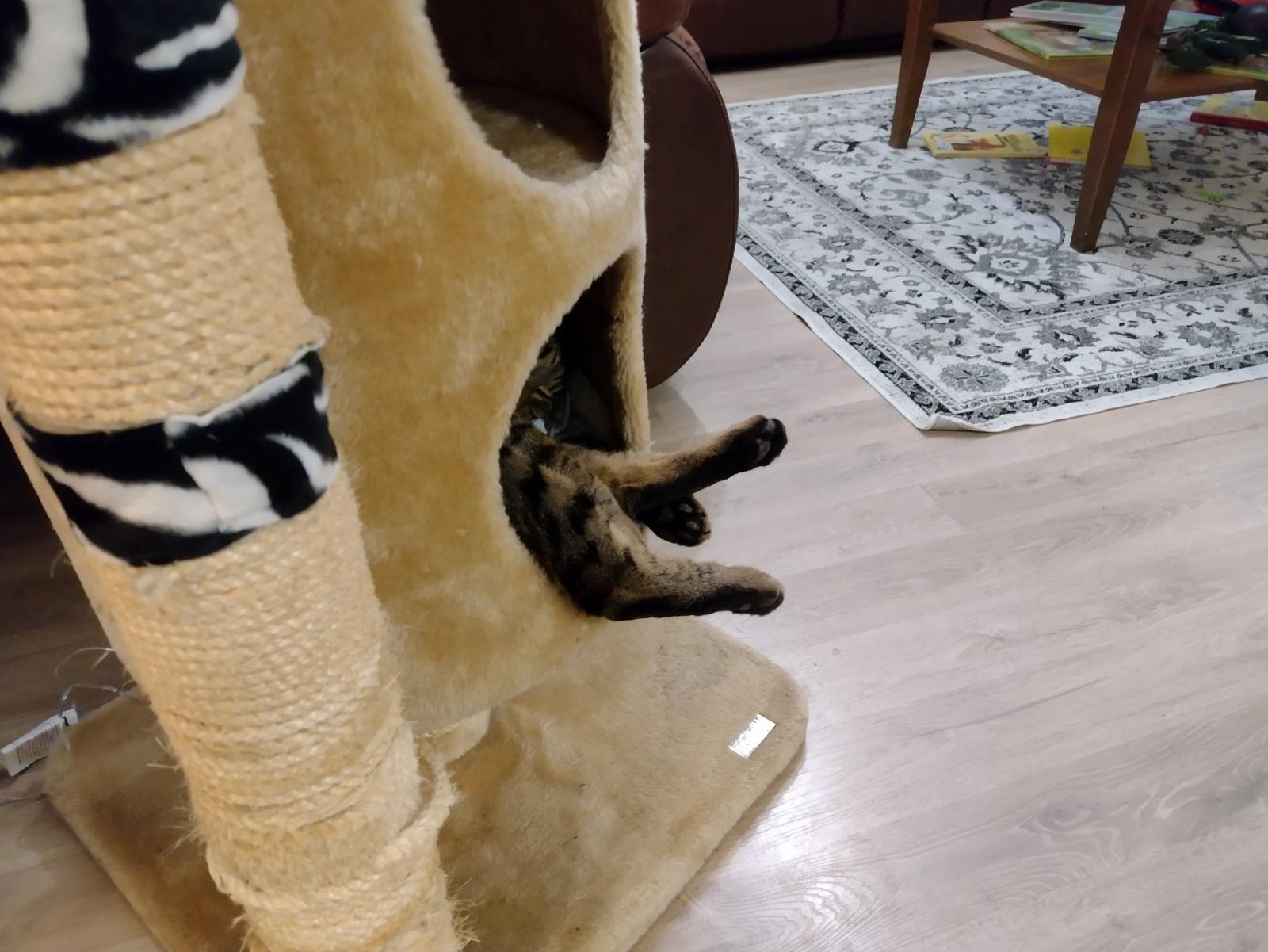 xHcTZ0v.jpg xHcTZ0v.jpg