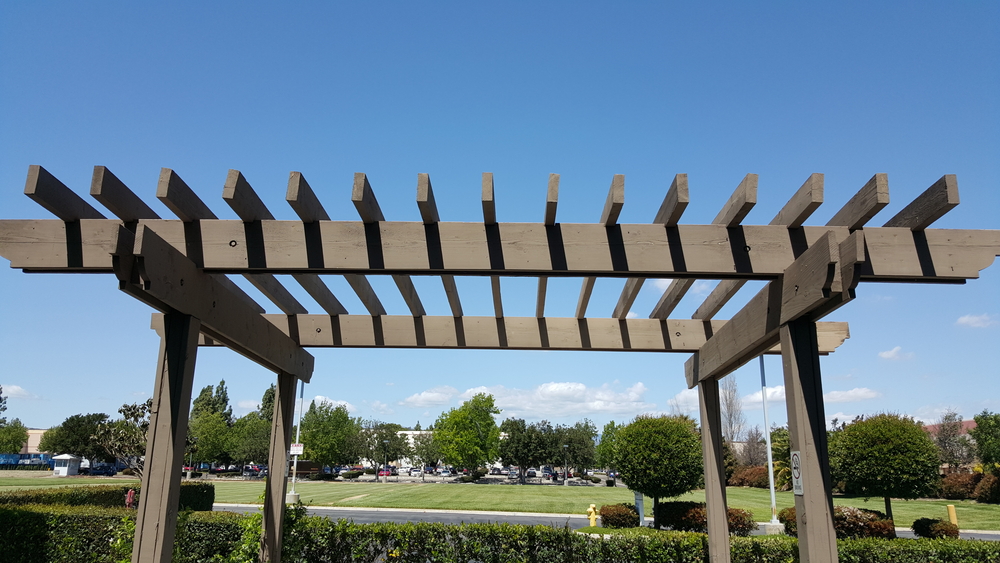 pergola_278317925.jpg pergola_278317925.jpg
