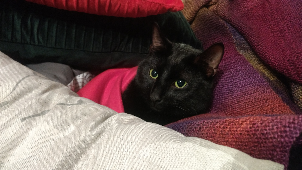 UwtsGhZ.jpg UwtsGhZ.jpg