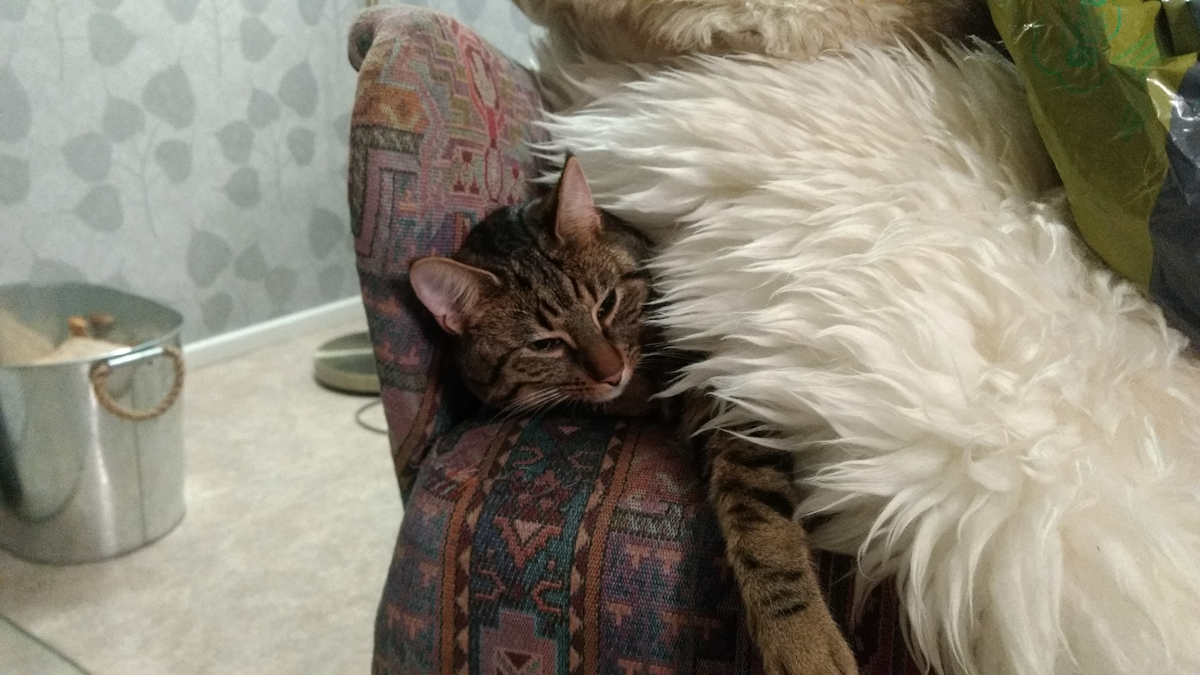 Thx2nYk.jpg Thx2nYk.jpg