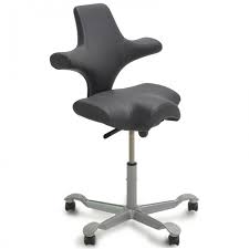 H%C3%A5g-Capisco-8106-gr%C3%A5.jpg