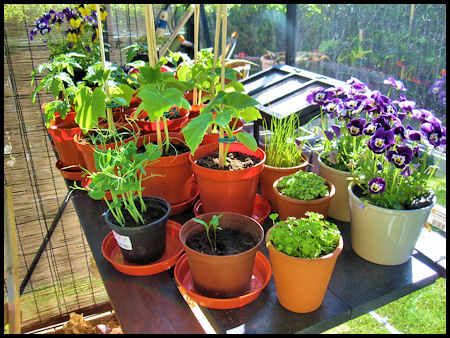 plantbord.jpg