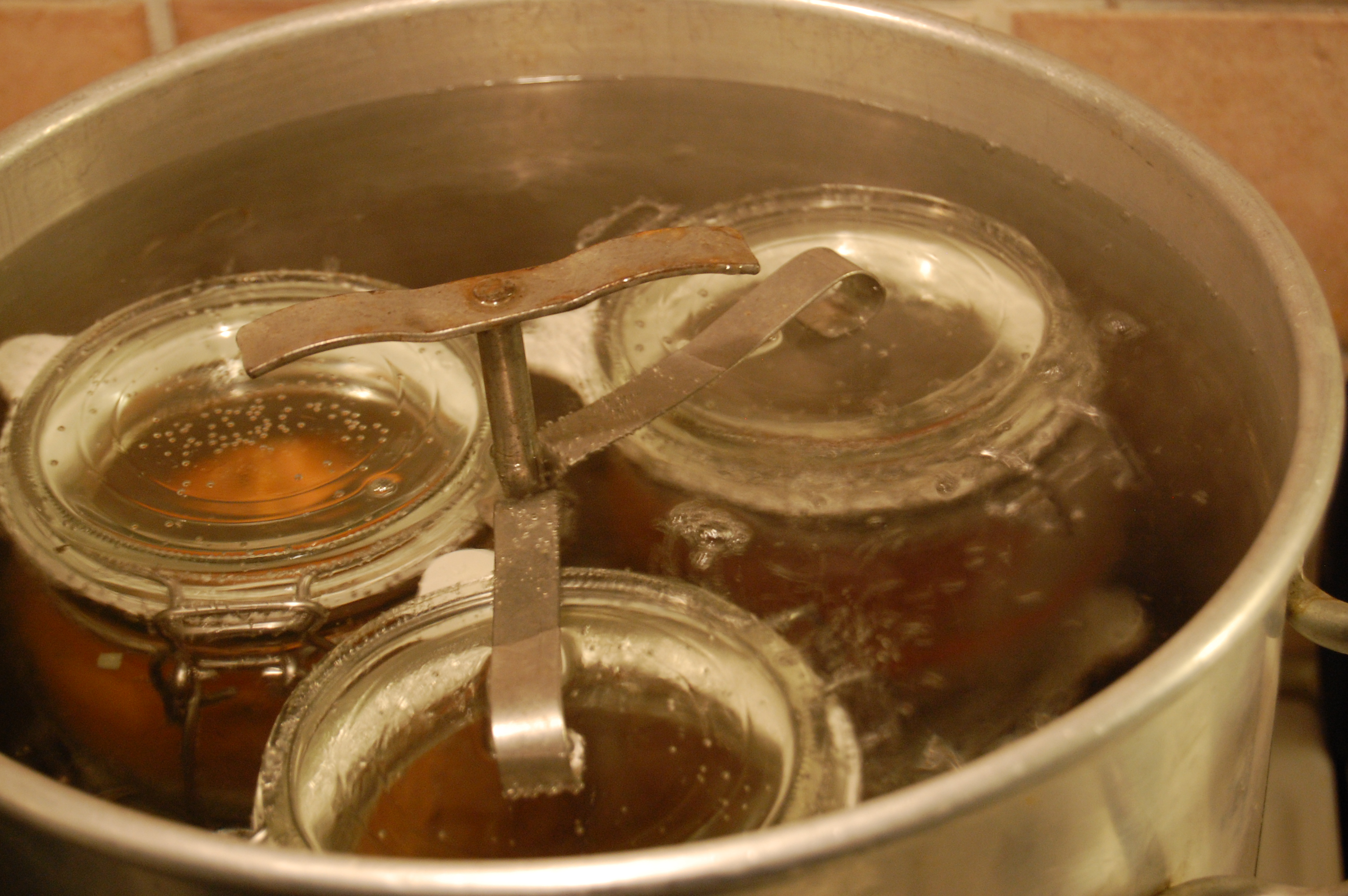 dsc_1070.jpg dsc_1070.jpg