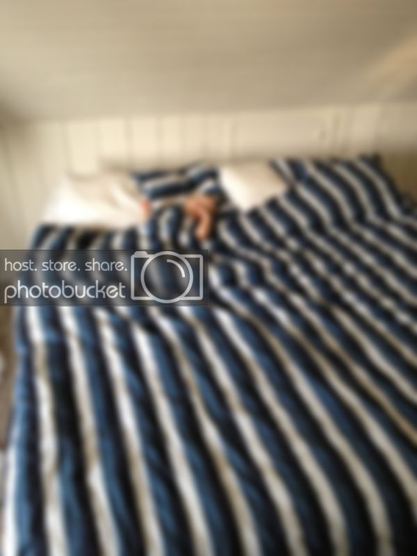 bild_zpse9fe5042.jpg bild_zpse9fe5042.jpg