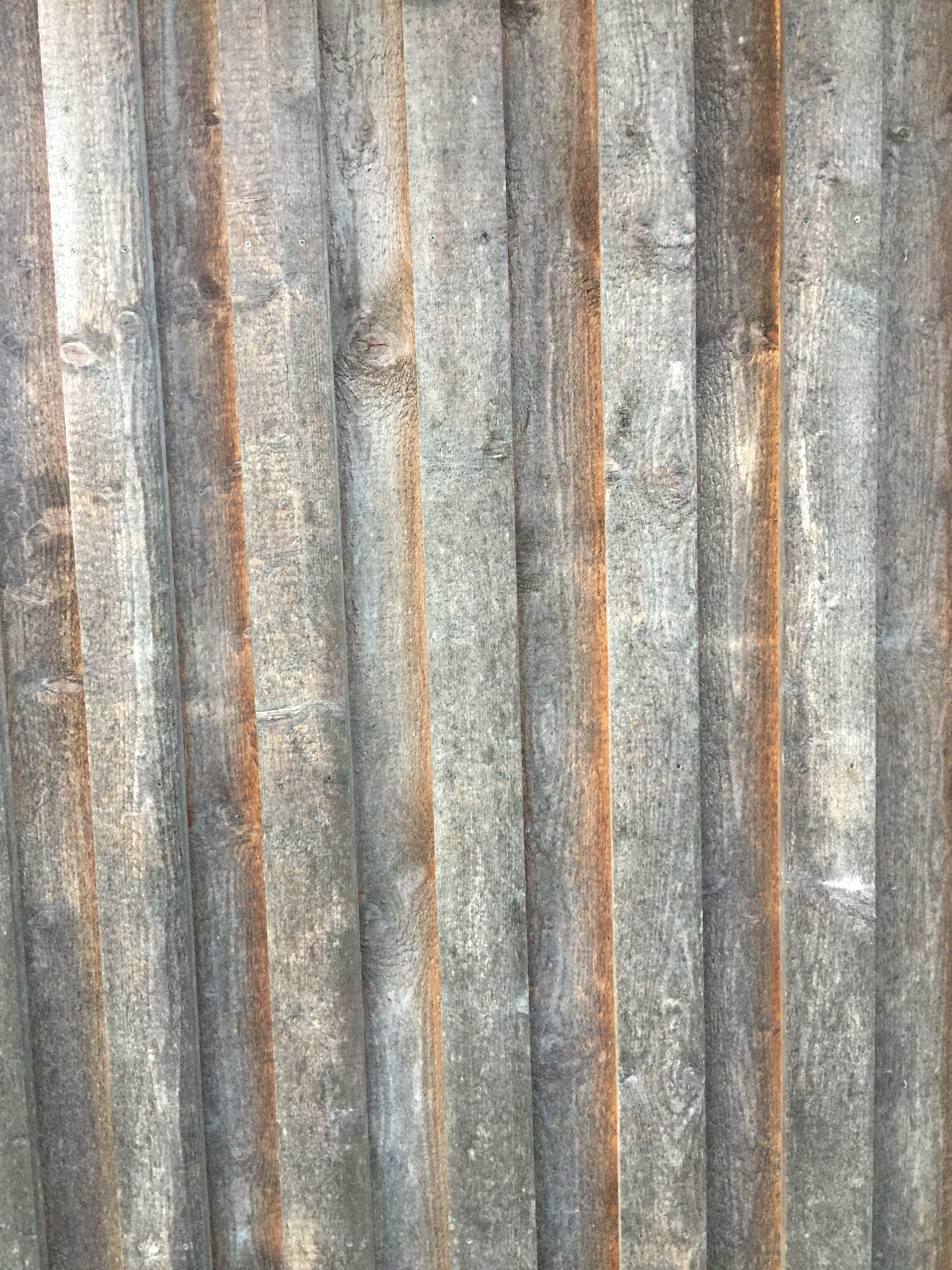 IMG_6304.jpg IMG_6304.jpg