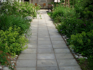 DSCN6056.JPG