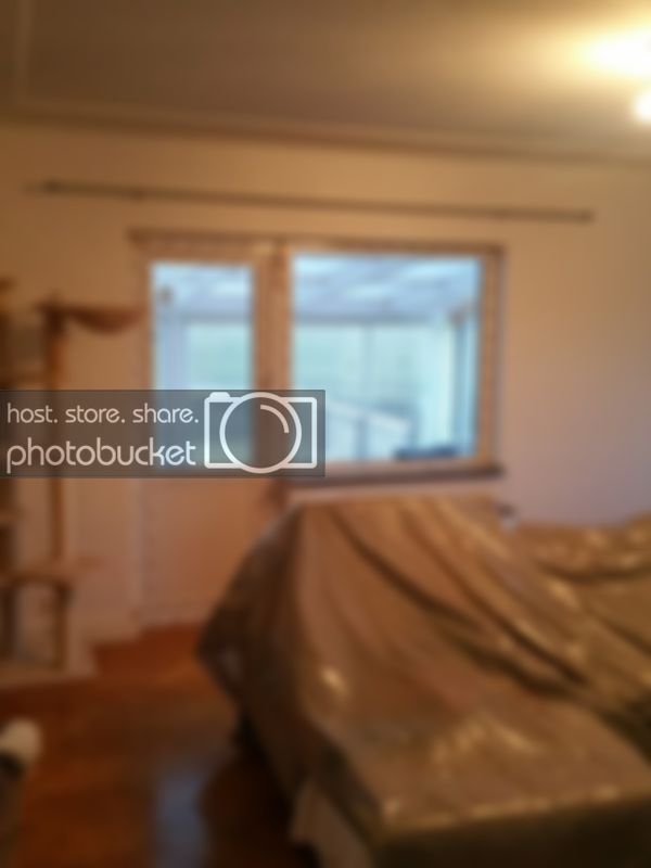 20170317_175643_zpshuuqrfie.jpg
