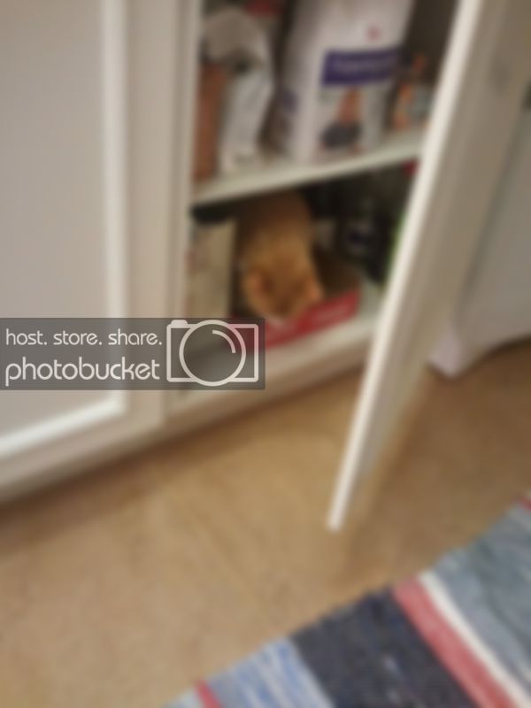 IMG_20120503_221953.jpg IMG_20120503_221953.jpg