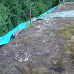 P1100370-150x150.jpg P1100370-150x150.jpg