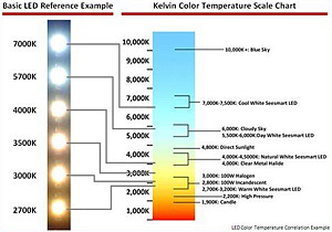 Kelvin.jpg