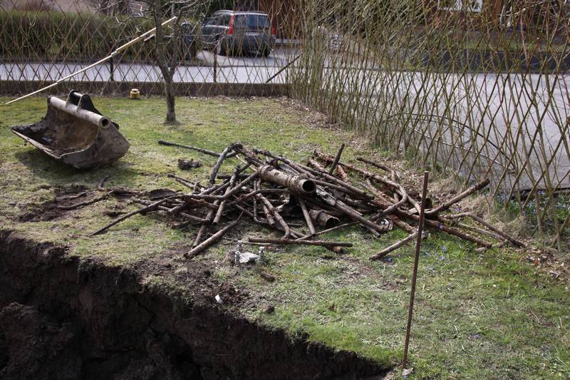 IMG_1131_www.jpg IMG_1131_www.jpg