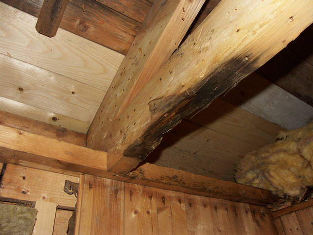 PICT1590.jpg