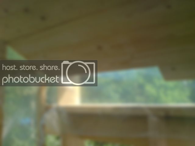 DSC04906.jpg DSC04906.jpg