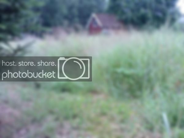 02-akern-lit-rojt.jpg 02-akern-lit-rojt.jpg