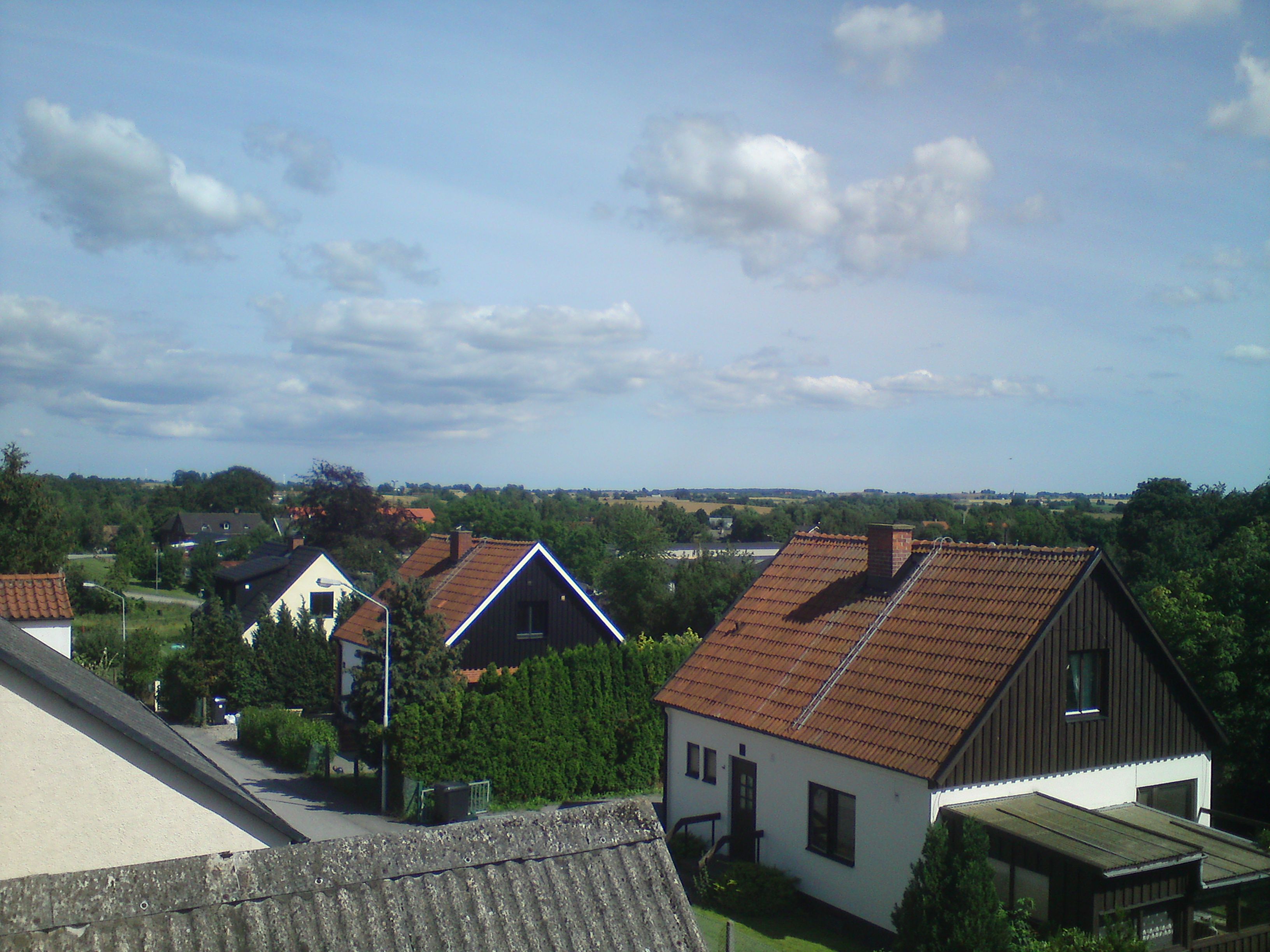 dsc02538f.jpg