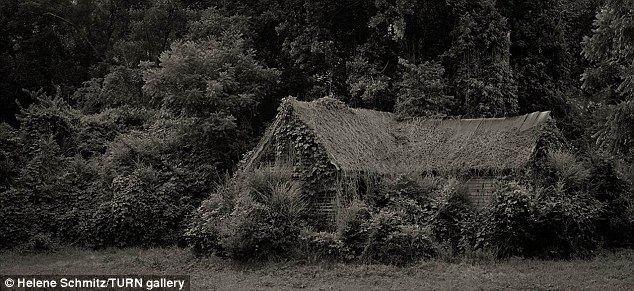 2F60070A00000578-3374056-image-a-2_1451053195162.jpg 2F60070A00000578-3374056-image-a-2_1451053195162.jpg