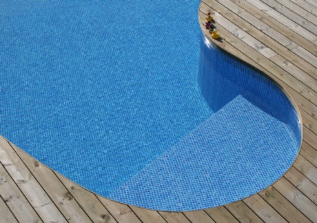 pool2010_006_s1.jpg