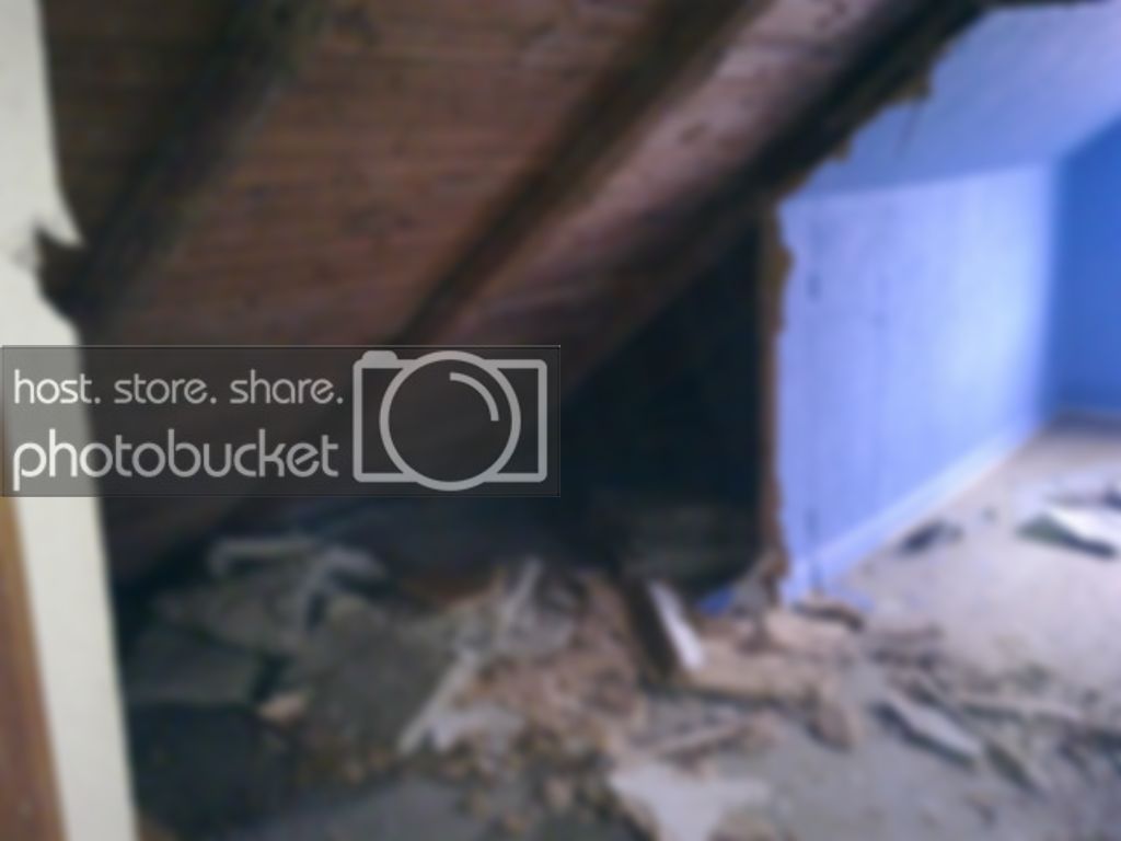 20110219406.jpg