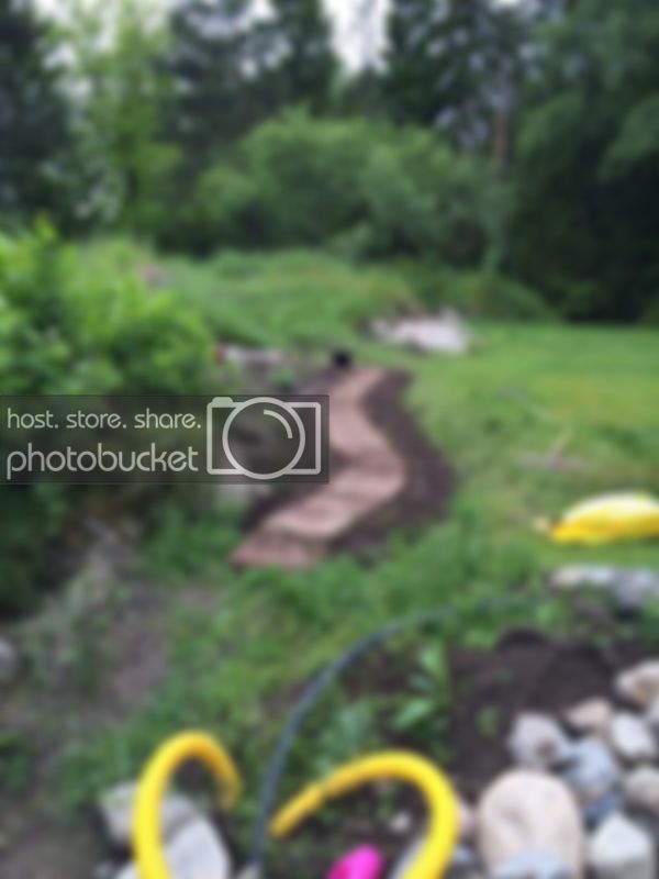 bild4_zpsd7a7f36a.jpg bild4_zpsd7a7f36a.jpg