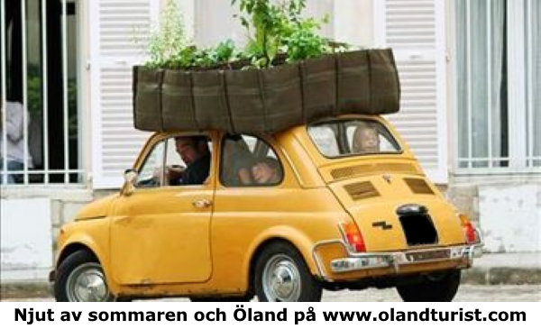 olandturist-crazy-gardener.png olandturist-crazy-gardener.png