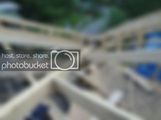 DSC00117.jpg DSC00117.jpg