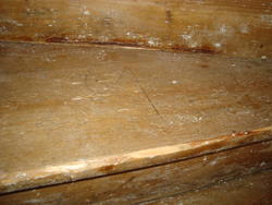 th_64694_Delaoxfil002_122_424lo.jpg th_64694_Delaoxfil002_122_424lo.jpg