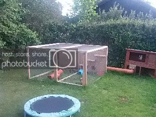 IMG_20130616_194319_zps4d7c6ddb.jpg