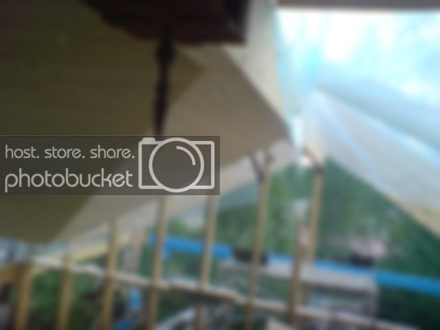 DSC04911.jpg DSC04911.jpg