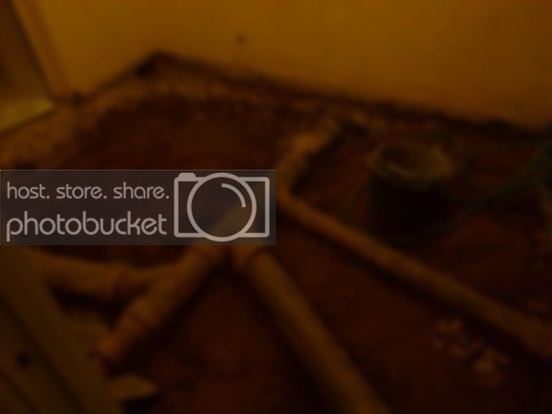 DSC_0614.jpg DSC_0614.jpg