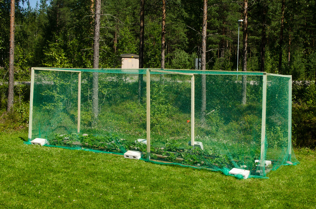 28450398995_17b8eb966a_b.jpg 28450398995_17b8eb966a_b.jpg