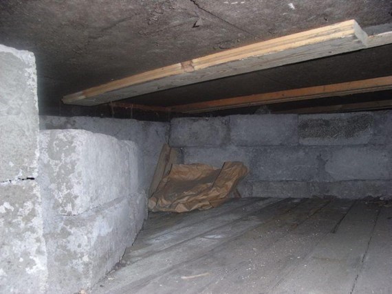 d64201393635Pe2de.jpg