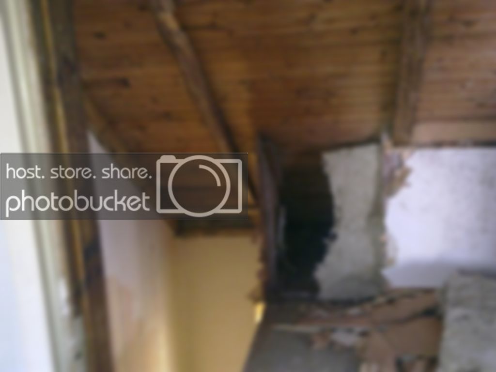 20110219403.jpg