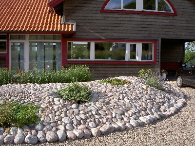 1436_p35061.jpg